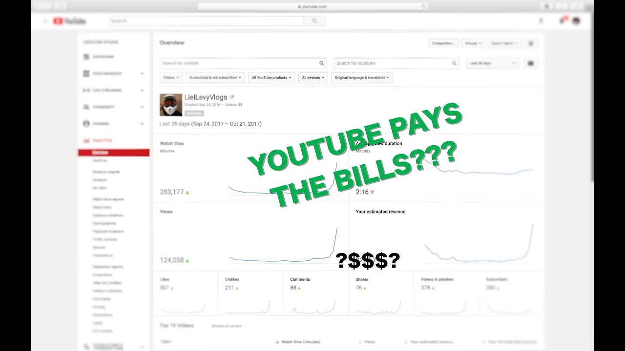 HOW MUCH MONEY DO SMALL YOUTUBERS MAKE??? 