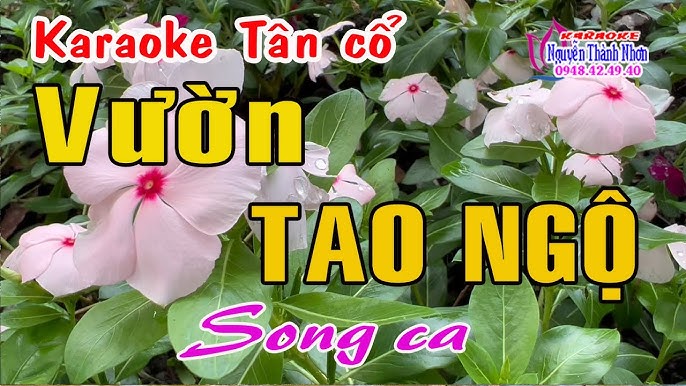 Karaoke tân cổ VƯỜN TAO NGỘ - SONG CA [ Minh Vương - Mỹ Châu ]