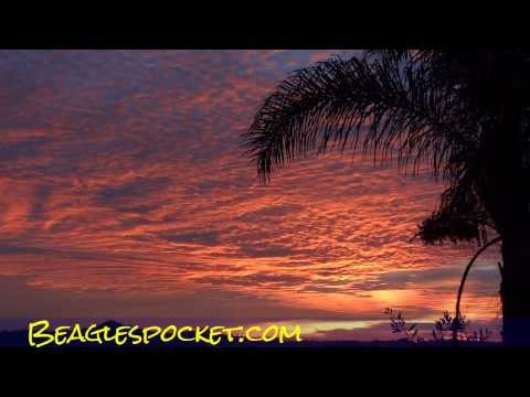 360 Sunset Orange Clouds ~ Beautiful California Sun ~ Heavens On Fire