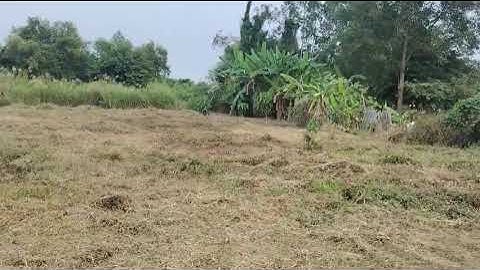 Bán đất 2,9 tỷ/1.100m2 đất vườn ( có 124m2 thổ cư) Cần Đước- Long An