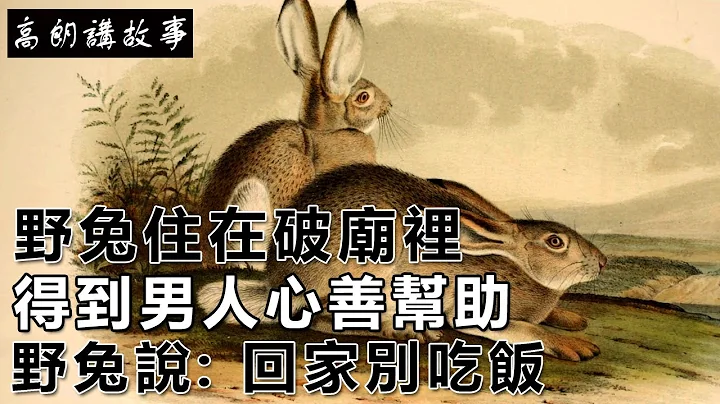 民間故事： 野兔住在破廟裡，得到男人心善幫助， 野兔說: 回家別吃飯｜高朗講故事 - 天天要聞