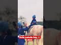 Holla Mahalla 2023 Italy Anandpuria Gurugranthsahib 