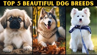 Furtastic Beauty: Top 5 Most Gorgeous Dog Breeds