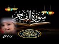 Muhammad arham alvi  hafiz abdul hadi voice  surah fajar  arhamalviofficial786  