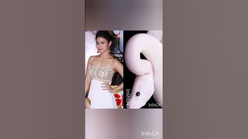 Nagin 🐍 Shivaniya all acters dress maching 🐍 #youtubeshorts #Nagin #trending #shorts #viral #video