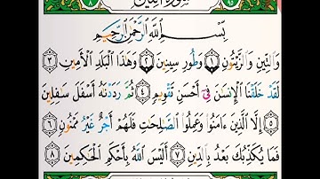 سورة التين بصوت القارئ خالد عبدالكافي