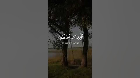تلاوة تطهر القلب🌿 قران حالات واتس🌿 من سورة النمل