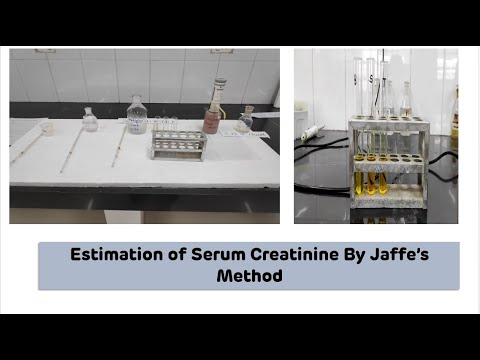 Estimation of Serum Creatinine By Jaffe&rsquo;s Method on Colorimeter || Biochemistry Practical