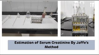 Estimation of Serum Creatinine By Jaffe's Method on Colorimeter || Biochemistry Practical