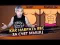 Как набрать вес за счет мышц, а не жира