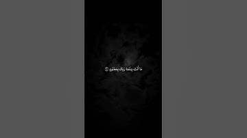 سورة القلم الاية:(١-٤)