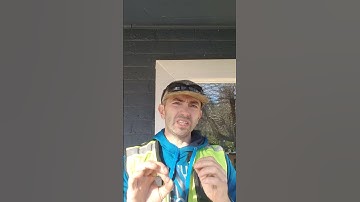 Composite Doors and Windows Installation: 2025 Green Energy Rebates