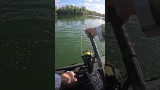 This GIANT CATFISH Took Line Non Stop😳💥 | INSANE Fight + TAIL SLAPS on the Surface 🔥 | Monster Ri