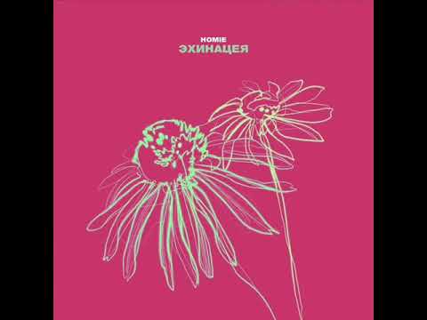 Homie - Эхинацея