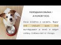 LEARN RUSSIAN - LESSON 22 (for absolute beginners)