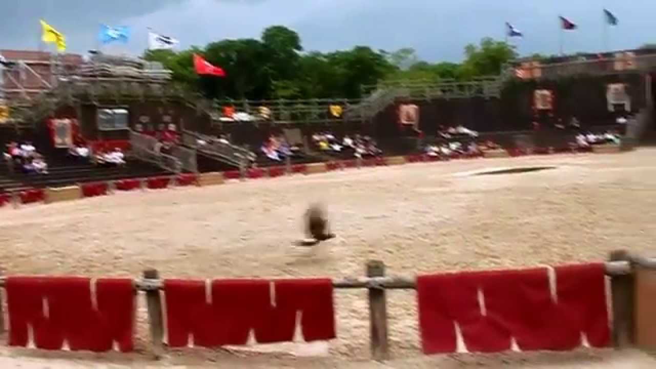 spectacle de rapaces zoo d'Amnéville 2014