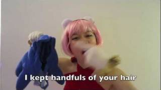 Someone Like You: Sonic and Amy (Adele parody)