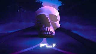 VOLT VISION - Fly (Official audio)
