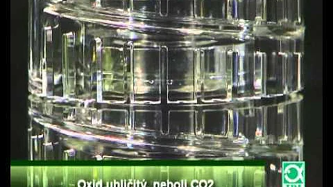 Proč jsou akvarijní rostliny nabízeny?