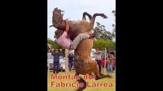 Montas del Jinete Fabricio Larrea