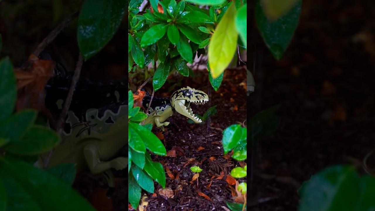 Dinosaur toy photography