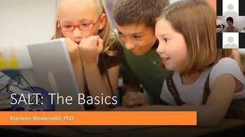 SALT Webinar 1: The Basics