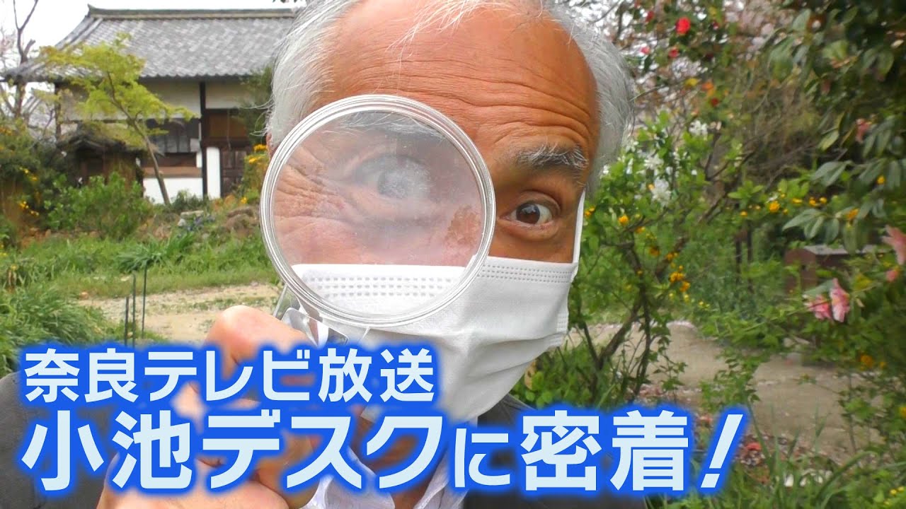 自然を愛する男！奈良テレビ・小池デスクに密着！