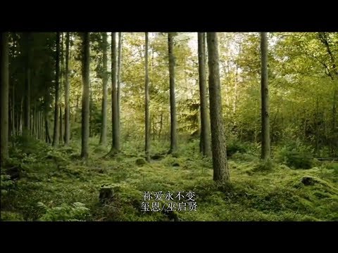 祢爱永不变 - 玺恩 / 巫启贤
