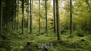 祢爱永不变 - 玺恩 / 巫启贤