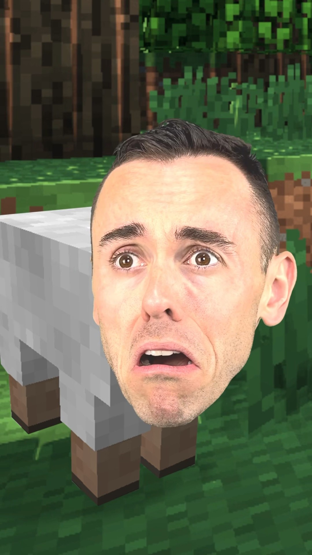 When Minecraft Players Feel Angry…