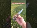 My first Balisong - Spyderco SmallFly 2 | EDCWerx 🗡️ #knifecommunity #edcknife #knifelife #shorts