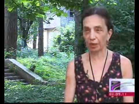 კინოჟურნალი - filmprint