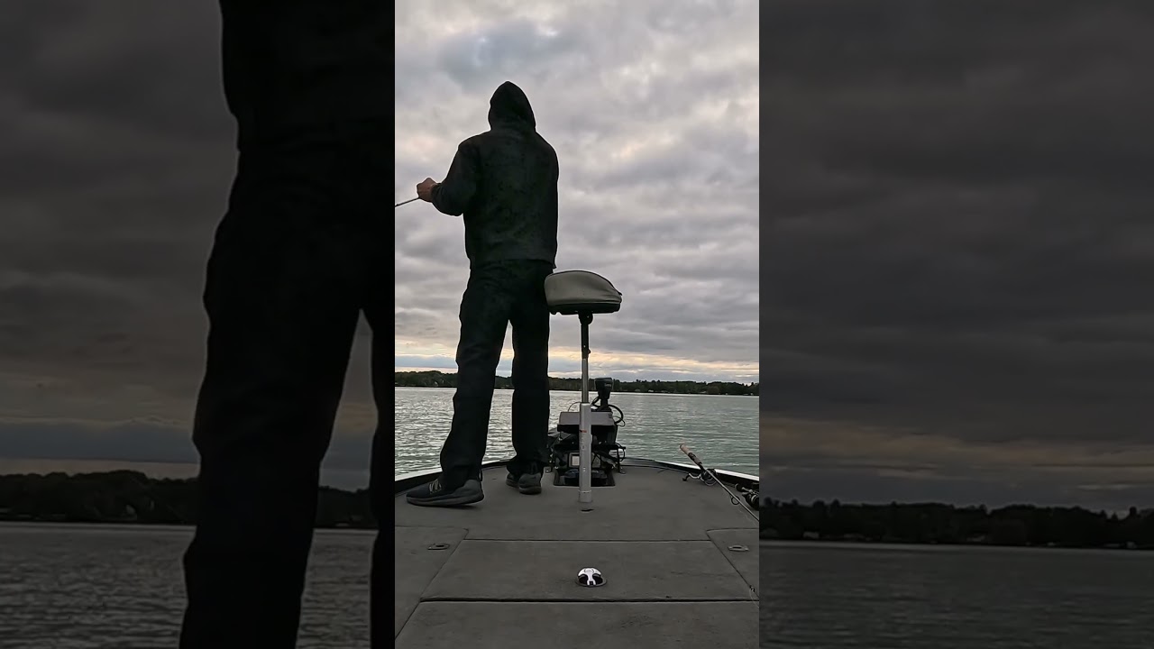 The new Berkeley power bait flux gill 