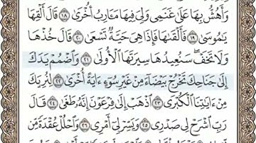 الصفحة 313 | سورة طه