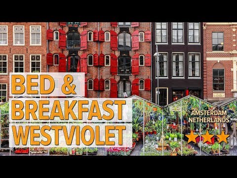 bed breakfast westviolet hotel review hotels in amsterdam netherlands hotels