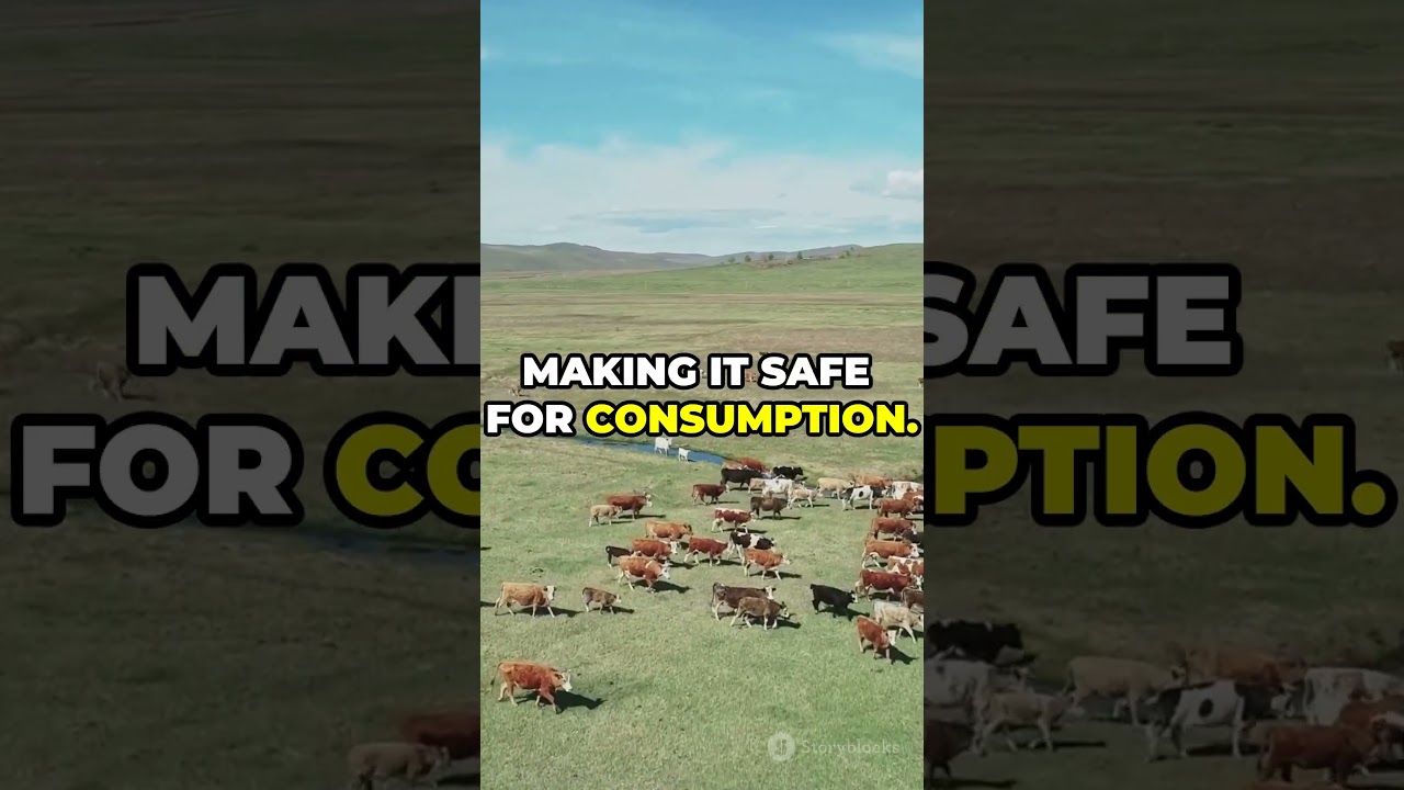 Surprising Facts About Bovaer 