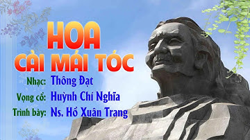 Tân cổ: HOA CÀI MÁI TÓC | Tác giả: Huỳnh Chí Nghĩa | Trình bày: Ns. Hồ Xuân Trang