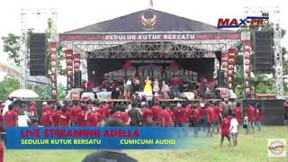 Detik* cumi cumi audio bersama om adella sound mati