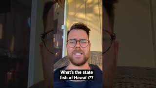 Download Lagu Whats the state fish of Hawai’i? MP3 Download Lagu Whats the state fish of Hawai’i? MP3