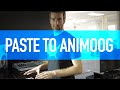 How Do It: Paste to Animoog from AudioCopy
