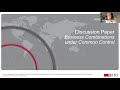 Virtual workshop on Discussion Paper Business Combinations under Common Control
