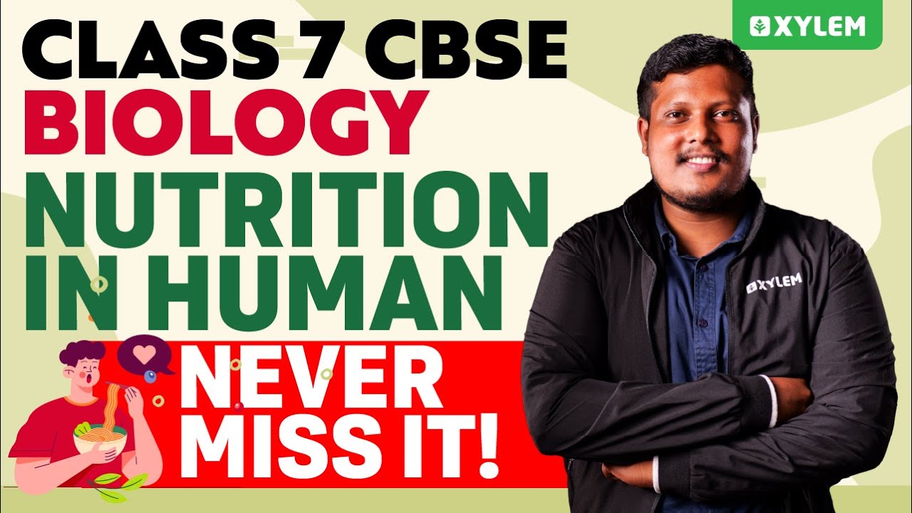 Class 7 CBSE Biology Nutrition In Human Simplified Explanation class-7-cbse-biology-nutrition-in-human-simplified-explanation