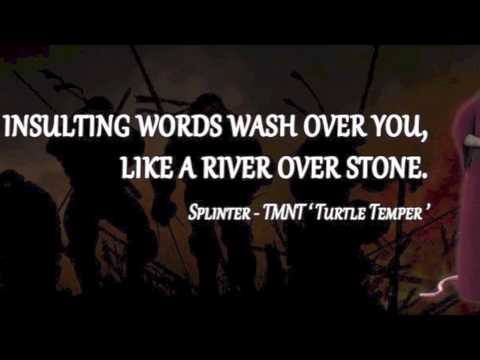 TMNT Splinter's Quote Let The Insulting Words Wash Over You Like Gorgeous Ninja Turtle Quotes TMNT Splinter's Quote Let The Insulting Words Wash Over You Like Gorgeous Ninja Turtle Quotes