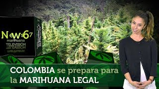 Colombia se prepara para la MARIHUANA LEGAL. Expo Bogotá, ExpoMedeWeed, Cultivo en el Cauca  NEWS 67