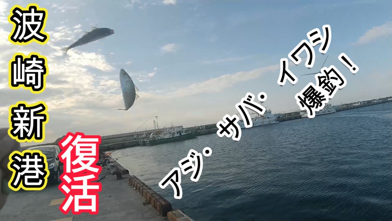 波崎新港復活！アジ・サバ・イワシ爆釣！2025.8.16~17サビキ釣り、泳がせ釣り。アジ、サバ、イワシ、コノシロ、ボラ。