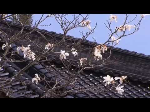 zen-gärten---antai-ji-(deutsch---german)