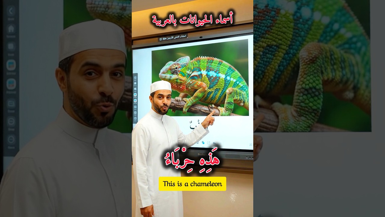 حيوانات بالعربية 🐸🦎 | حيوانات الغابة | أسماء الحيوانات بالعربية | ضفدع، ضب | تعلم العربية.