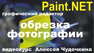 Как обрезать  фото в Paint.NET
