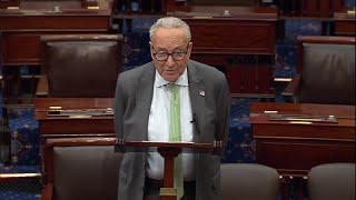Chuck Schumer talks on 'nuclear' rules change for nominees