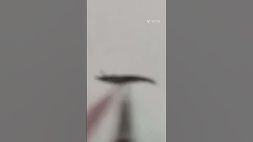 Art transition video .#shorts #short #transition